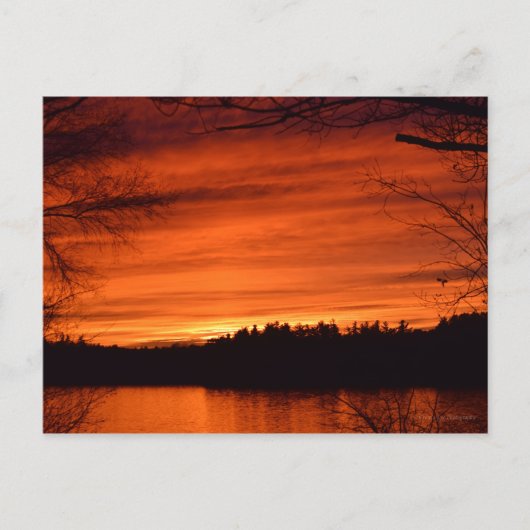 November Sunset Postcard Postkarte (Vorderseite)