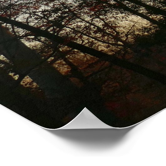 November Sunset Poster (Ecke)