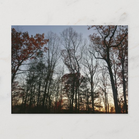 November Sunset Postkarte (Vorderseite)