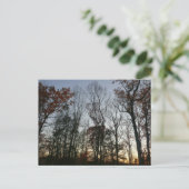 November Sunset Postkarte (Stehend Vorderseite)