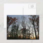 November Sunset Postkarte (Vorne/Hinten)