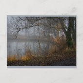 November Tree CC0310 Postkarte (Vorderseite)