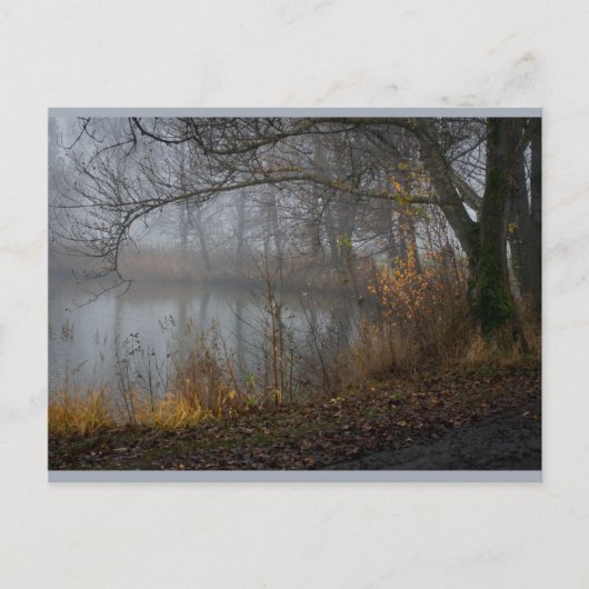 November Tree CC0310 Postkarte (Vorderseite)