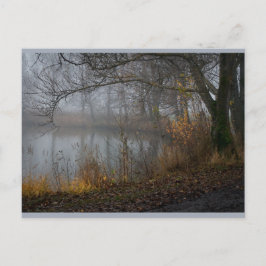 November Tree CC0310 Postkarte