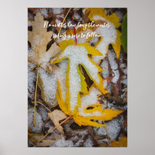 November-Wald: Gelbe Blätter unter dem Schnee Poster (Vorne)