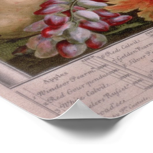 November "Zwölf Monate Obst" Poster (Ecke)