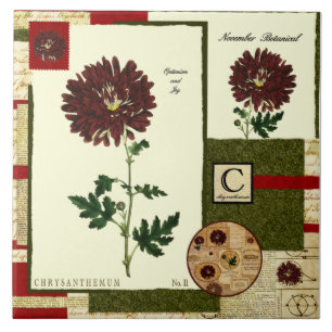 Novembers Blume Fliese