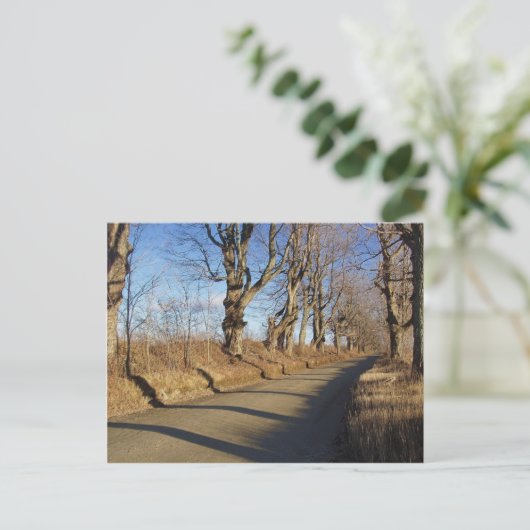 Novemberstraße Postkarte (Stehend Vorderseite)