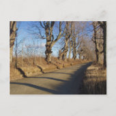 Novemberstraße Postkarte (Vorderseite)