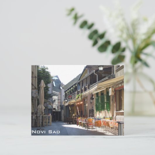 Novi Sad Postkarte (Stehend Vorderseite)