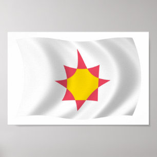 Novial Flag Poster Print