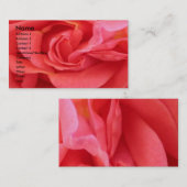 NOVINO - Rote Rose Visitenkarte (Vorne/Hinten)