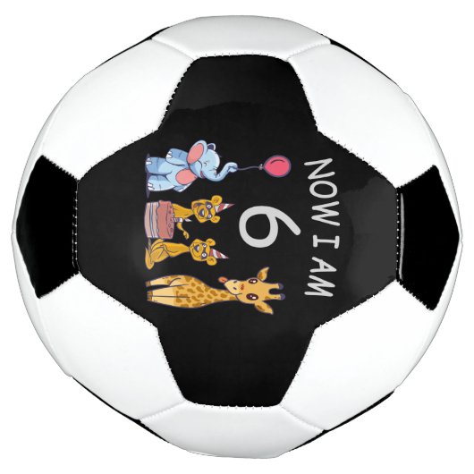 Now I am 6 years old 6th Birthday at the Zoo Fußball (Gedreht)