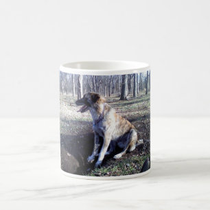 Nowzad Kujo Kaffee-Tasse Kaffeetasse