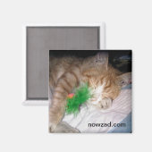 Nowzad Pablo Magnet (Vorderseite/Rückseite)