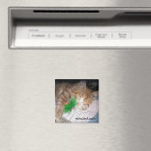 Nowzad Pablo Magnet (In Situ (Geschirrspüler))