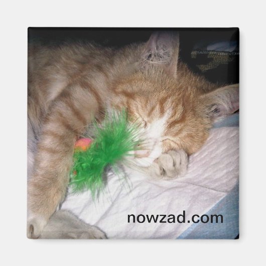 Nowzad Pablo Magnet (Vorne)