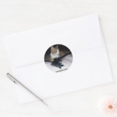 Nowzad Pablo Sticker (Umschlag)