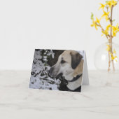 Nowzad Rescue Dog Kilo Notecard Karte (Gelbe Blume)