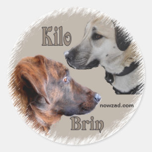 Nowzad Rescue Hunde Brin & Kilo Sticker
