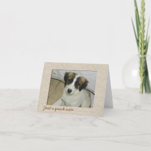 Nowzad Rescue Spike Notecard Karte