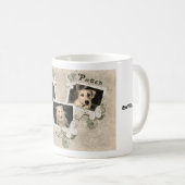 Nowzad Rettung verfolgt Tasse (VorderseiteRechts)