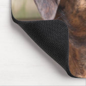 Nowzad Rettungs-Hund Brin Mousepad (Ecke)