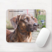 Nowzad Rettungs-Hund Brin Mousepad (Mit Mouse)