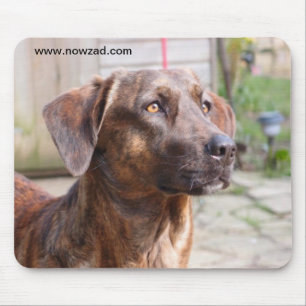 Nowzad Rettungs-Hund Brin Mousepad