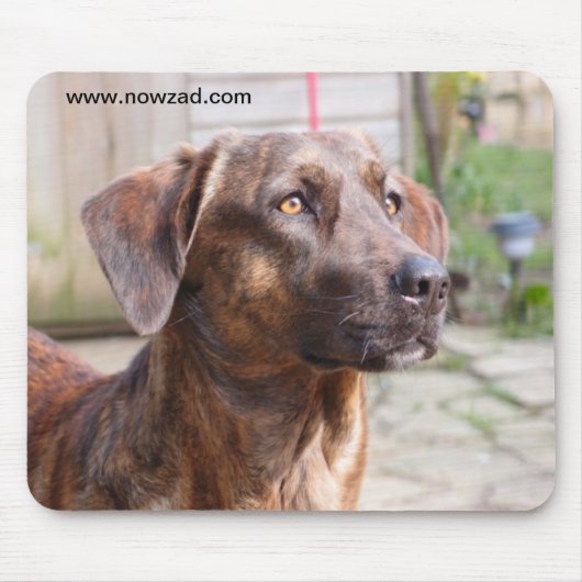 Nowzad Rettungs-Hund Brin Mousepad (Vorne)