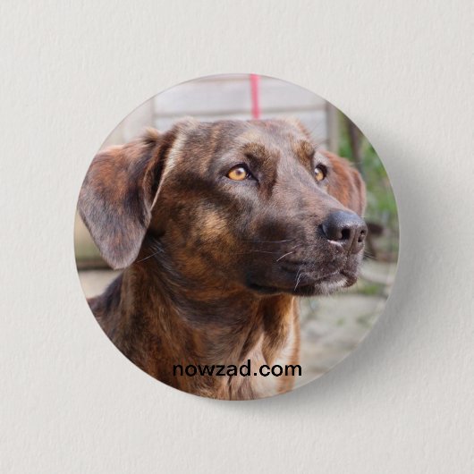 Nowzad Rettungs-HundBrin Abzeichen Button (Vorderseite)