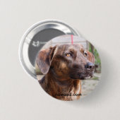 Nowzad Rettungs-HundBrin Abzeichen Button (Vorne & Hinten)