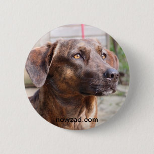 Nowzad Rettungs-HundBrin Abzeichen Button