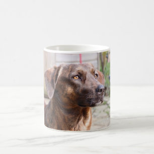 Nowzad Rscue HundBrin Kaffee-Tasse Kaffeetasse