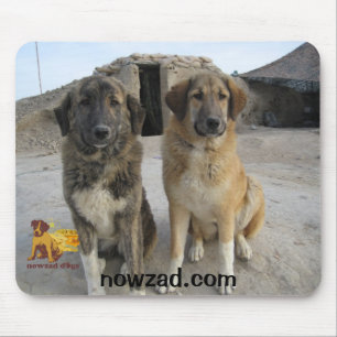 Nowzad verfolgt Mäusematte Mousepad