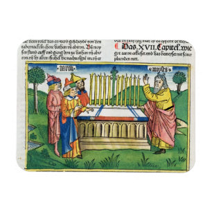 Nr. 17 1-11 Aarons Personal blüht auf dem Altar, Magnet
