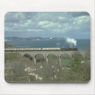Nr. 7827- Lydham Landsitz umsäumt die Küste in Mousepad