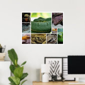 NR Snake Fotografy_Page00 Poster (Heimbüro)