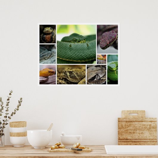 NR Snake Fotografy_Page00 Poster (Küche)