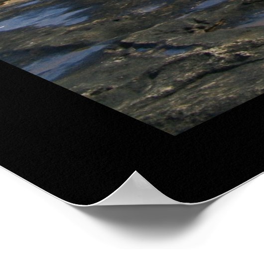 Nubble Lighthouse York Maine Fishing Poster (Ecke)