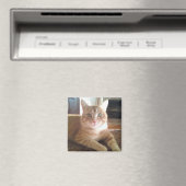 Nubby-Katze Magnet (In Situ (Geschirrspüler))
