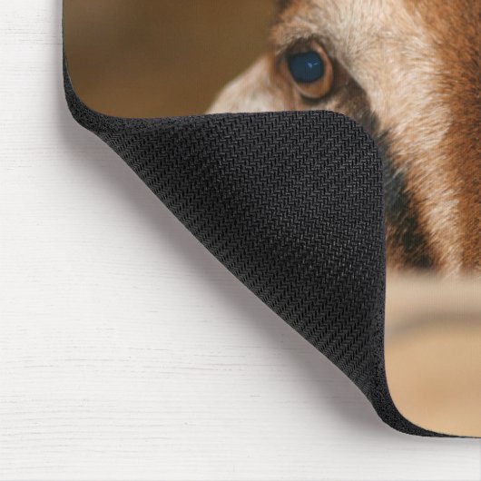 Nubian Damhirschkuh, die über hölzerne Schiene Mousepad (Ecke)