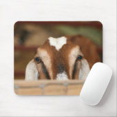 Nubian Damhirschkuh, die über hölzerne Schiene Mousepad (Mit Mouse)