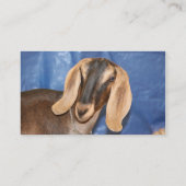 Nubian Damhirschkuhkopf gegen Blau Visitenkarte (Rückseite)