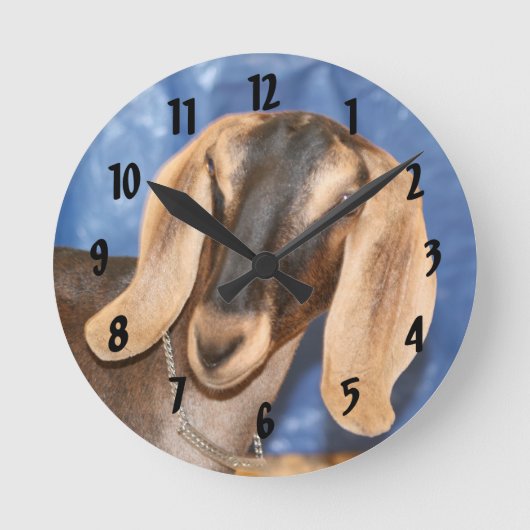 Nubian doe head against blue runde wanduhr (Vorderseite)