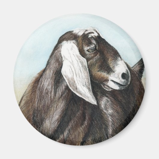 Nubian Goat Art Magnet (Vorne)