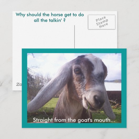 Nubian Goat Postkarte (Vorne/Hinten)