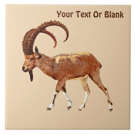 Nubian Ibex - Ein Gedi Fliese (Vorderseite)