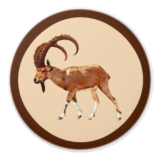 Nubian Ibex - Ein Gedi Keramikknauf (Vorderseite)