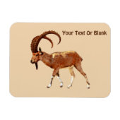 Nubian Ibex - Ein Gedi Magnet (Horizontal)